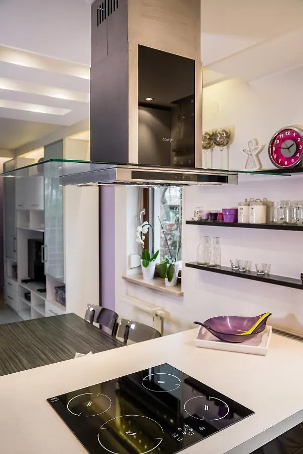 Tyniecka Deluxe Apartment Wawelofts Краков Польша